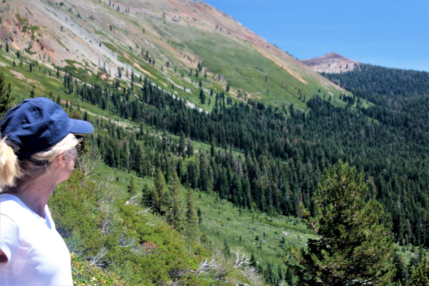Dawn on the Trail : Photos, Diagrams & Topos : SummitPost
