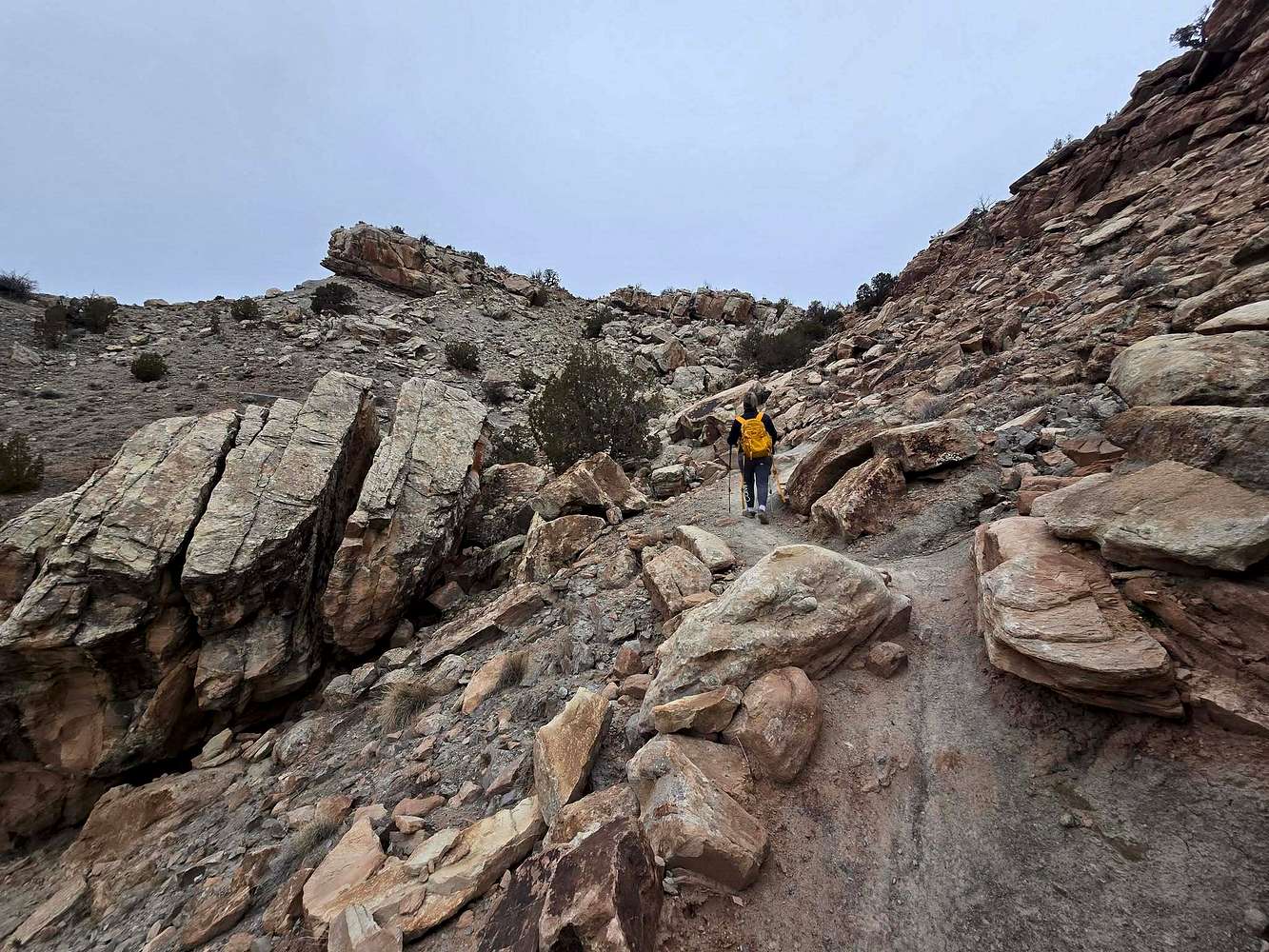 Fun Ridge Hill En-Route to Moore Fun Ridge : Photos, Diagrams & Topos : SummitPost