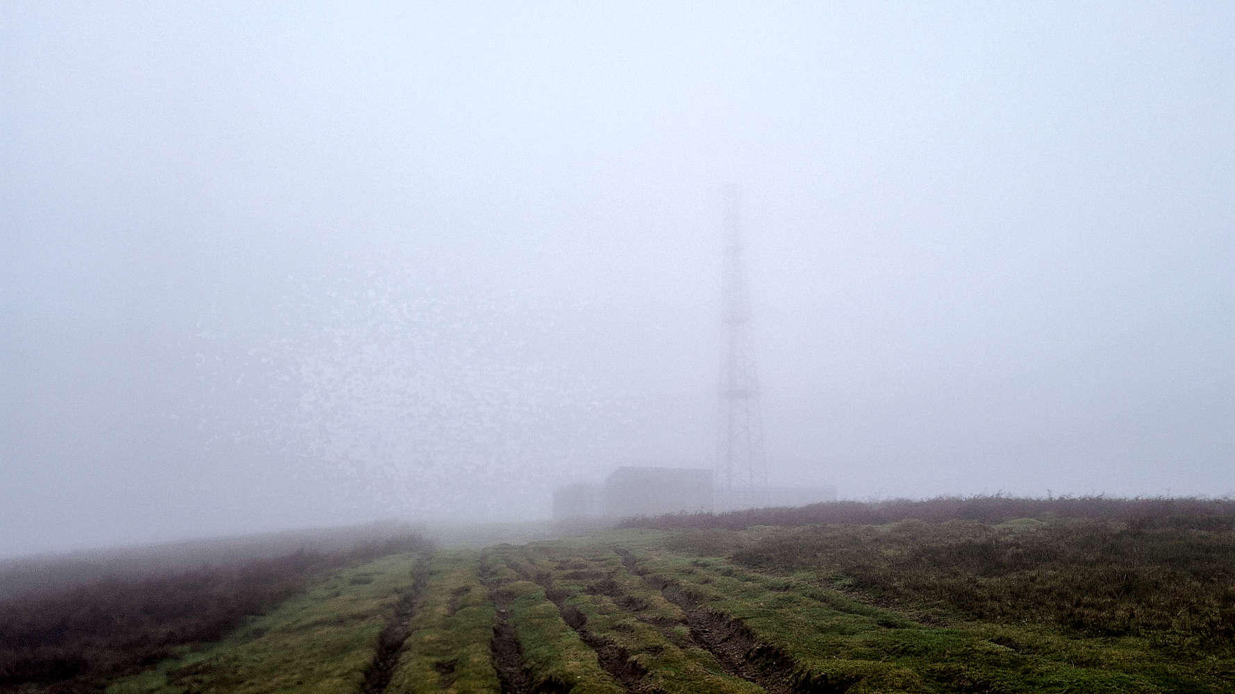Nearing the telecom tower in the fog.