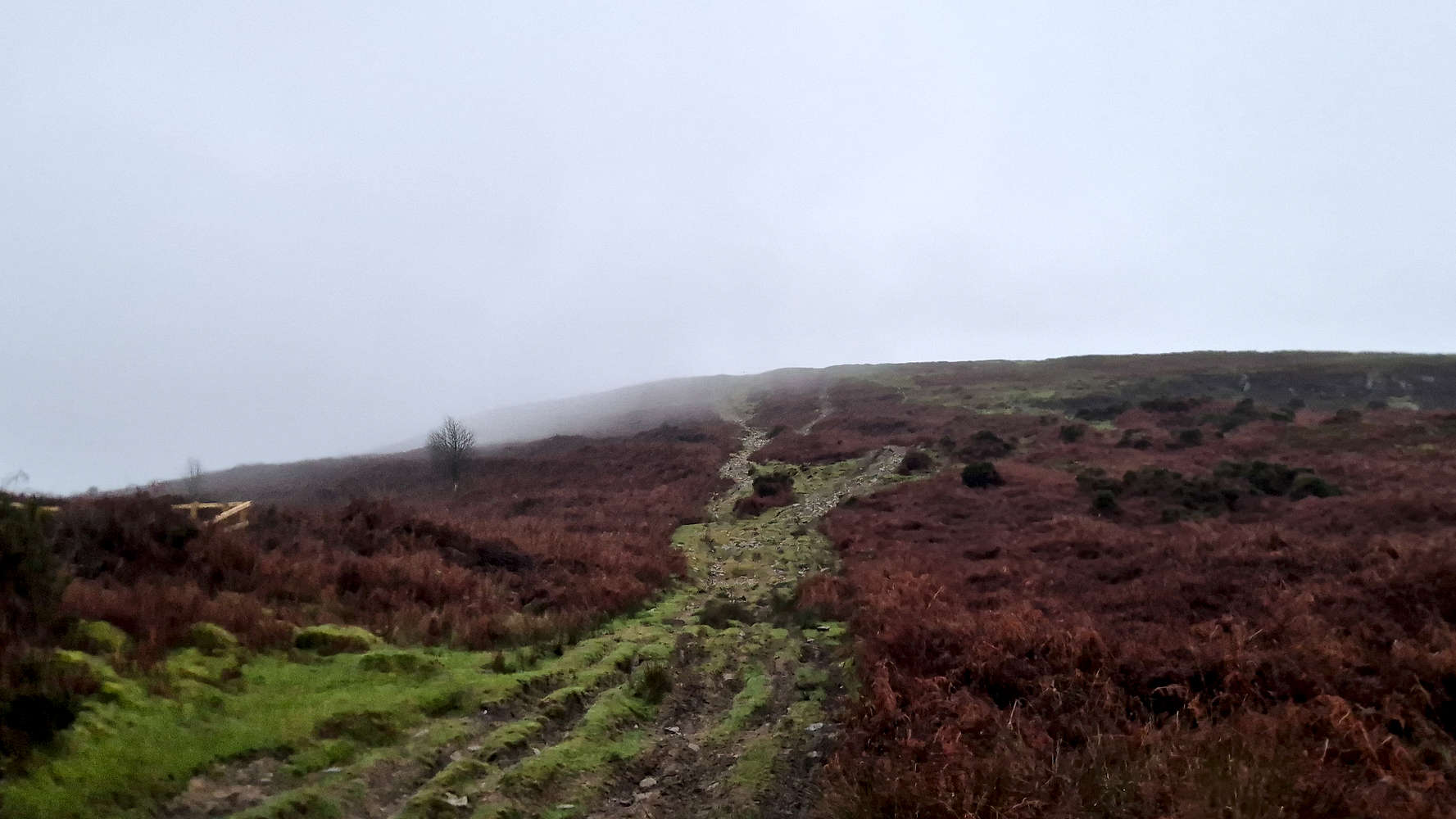 The lower slope towards the ridge.