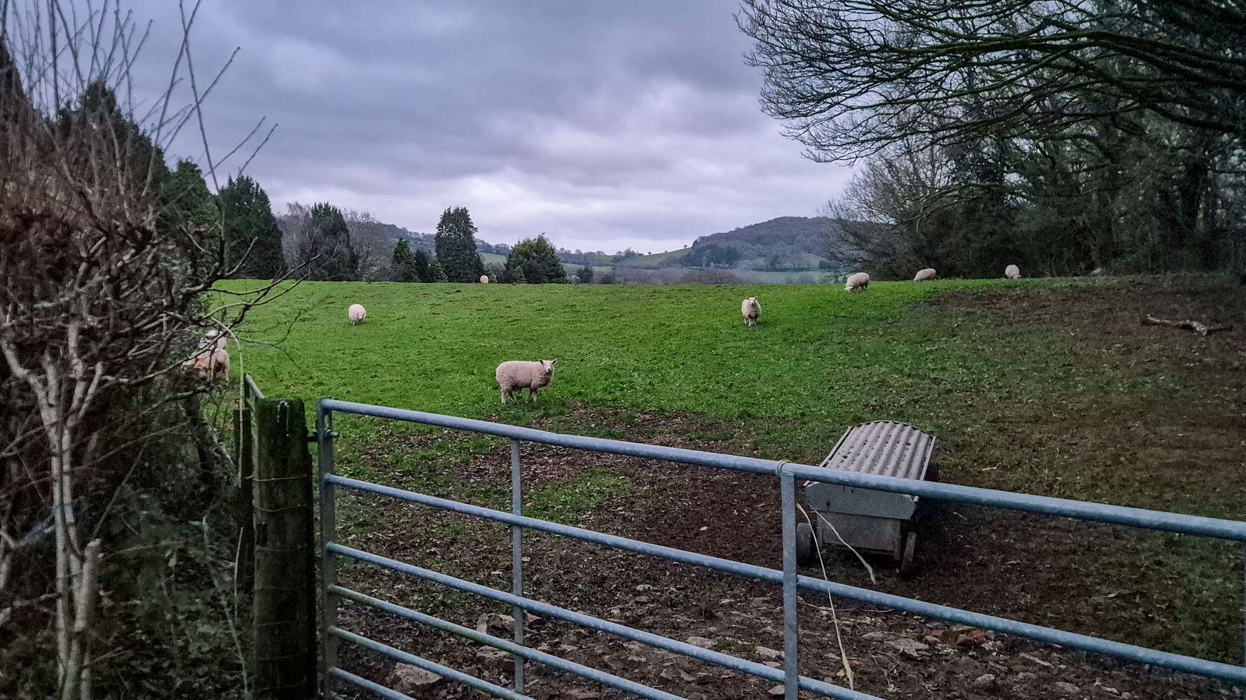 Wales Christmas 2025