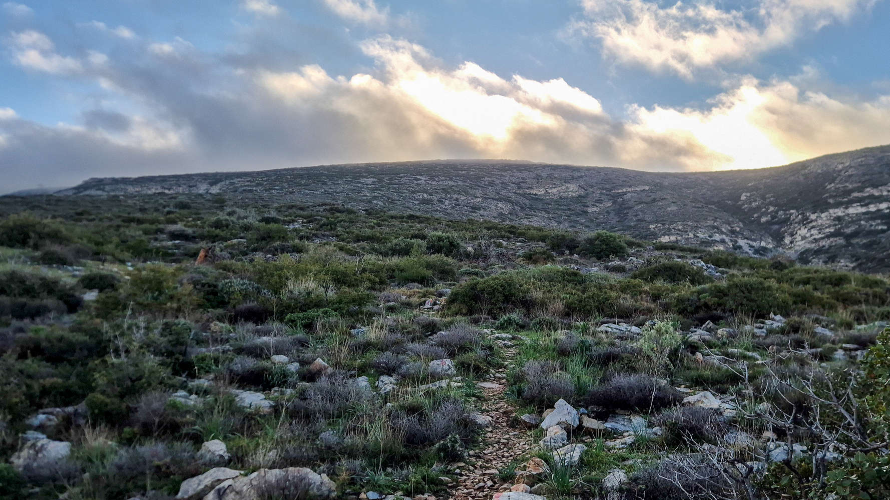 Ascending towards Pirgos (814m).