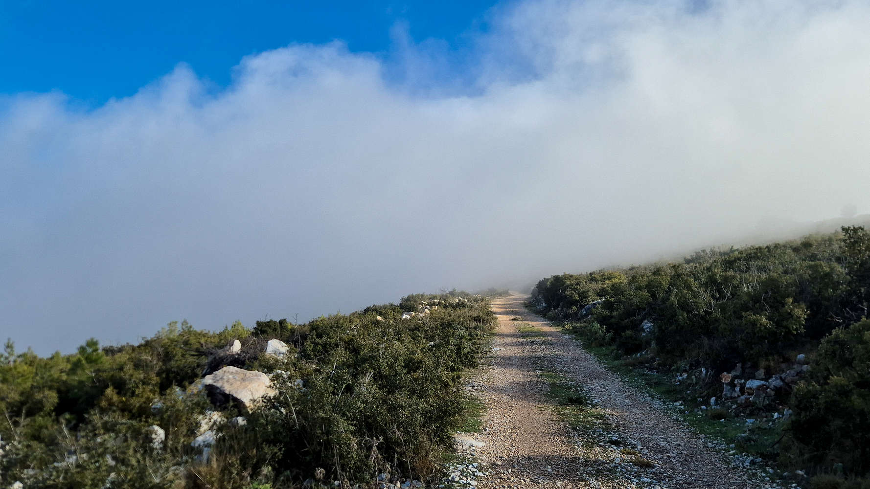 Moving clouds obscure any views.