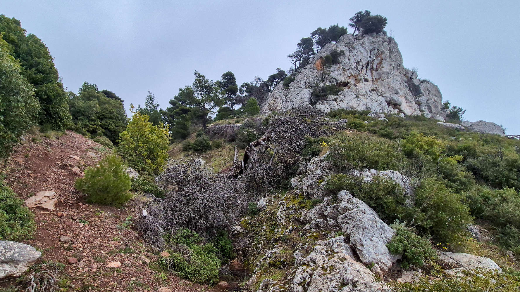 The outcrop and cross from the ravine springs.