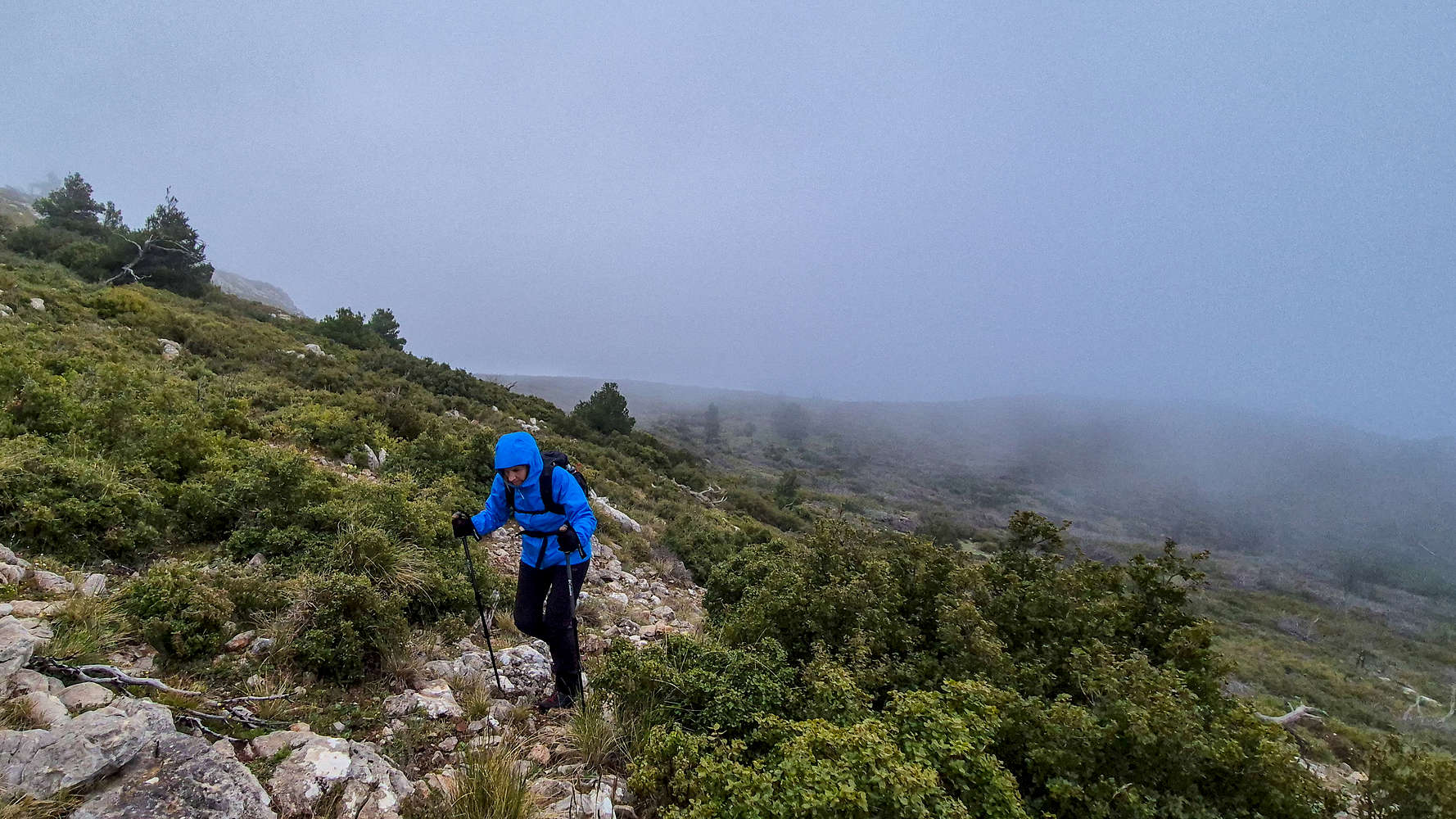 Rain and fog on the lower summit section.