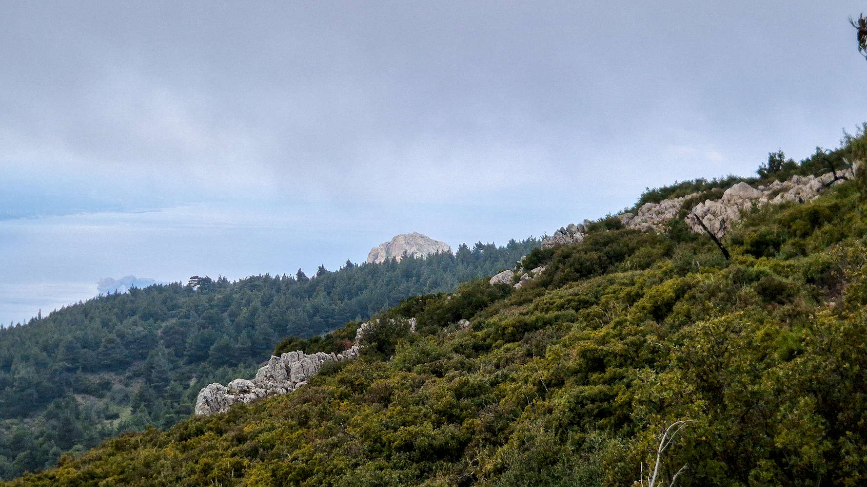 Petra Perachoras (906m) peeking above the firs.