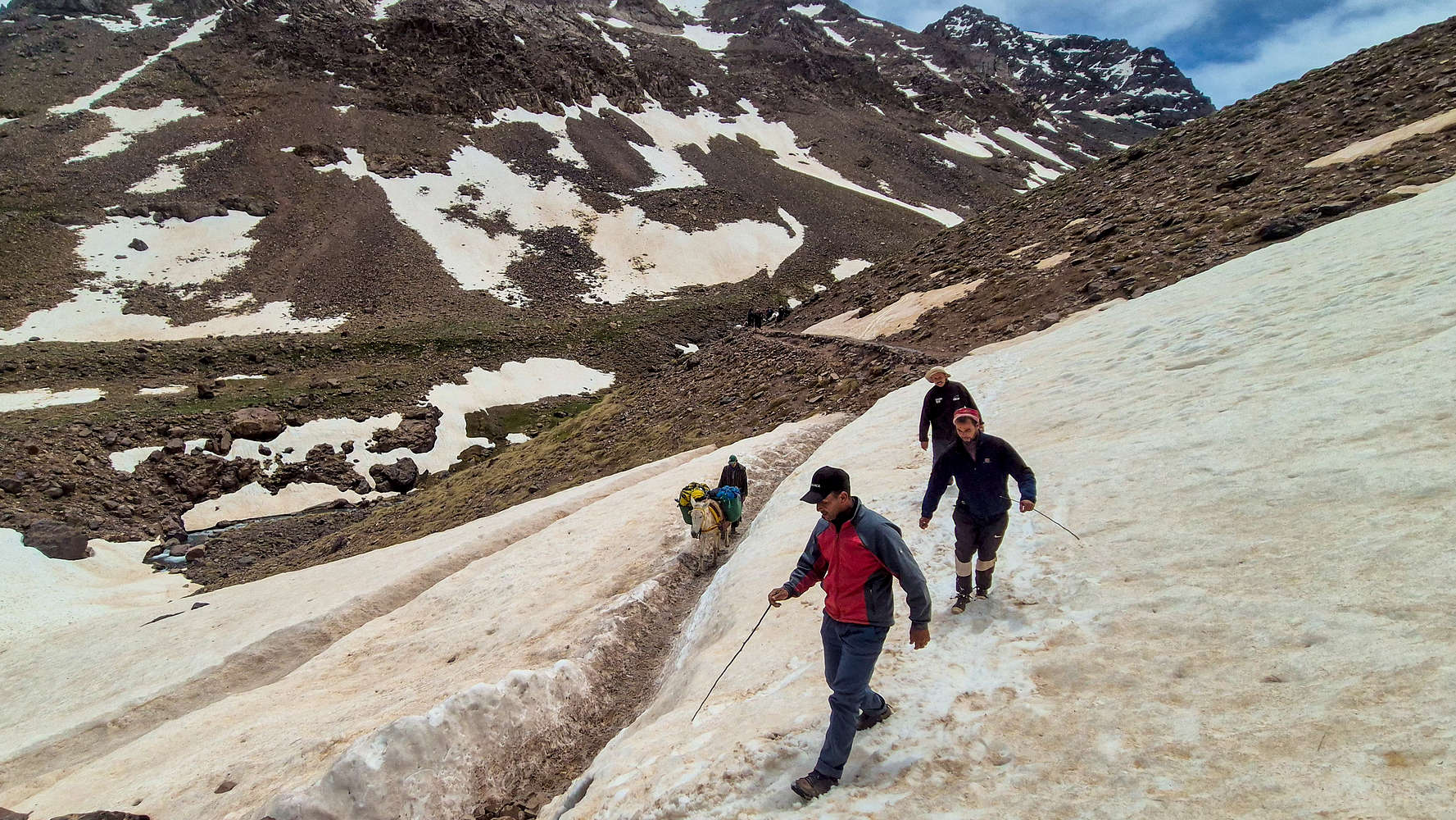 Mule and porters traversing a snow-patch.