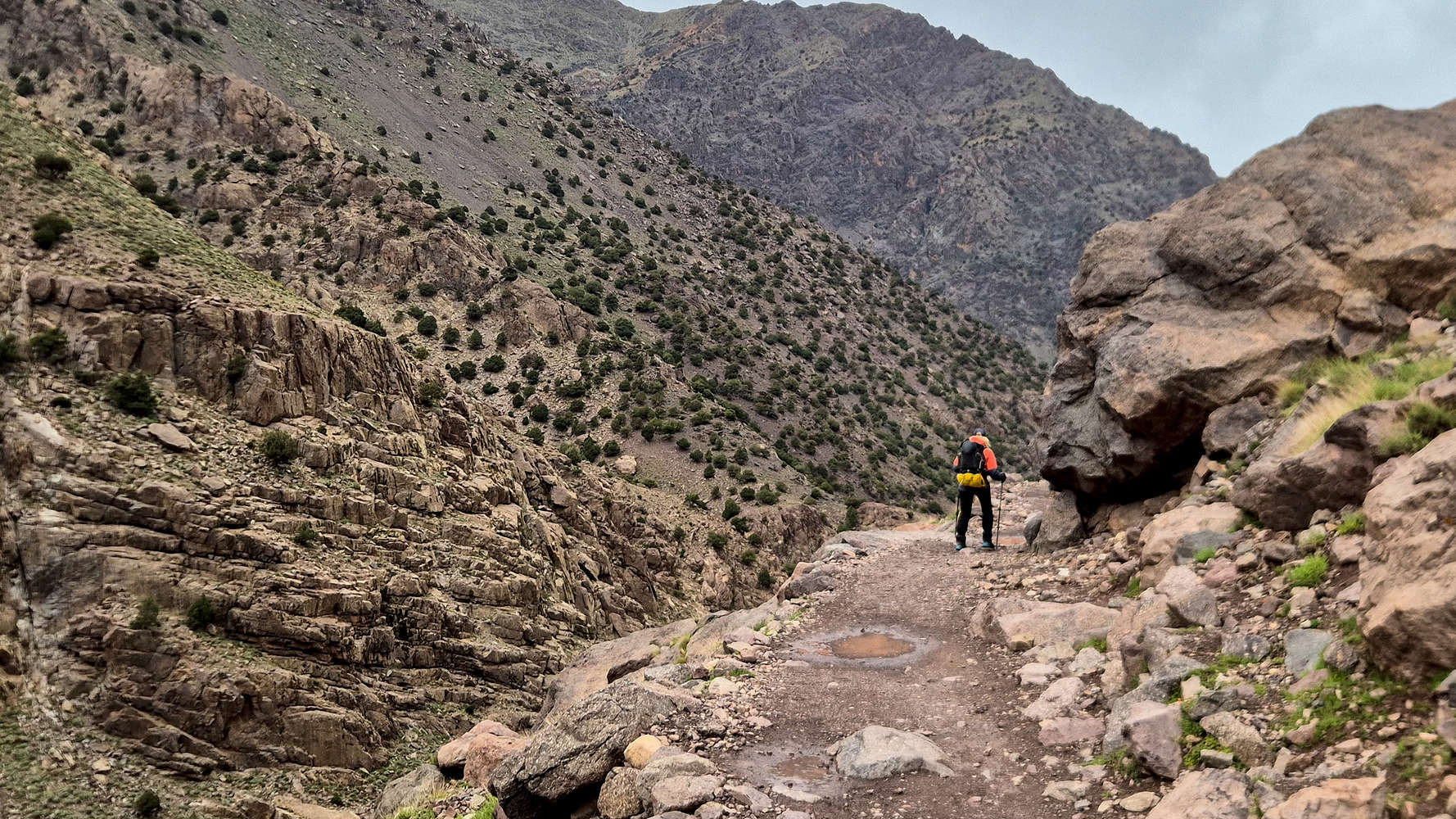 Somewhere on the lower trail.