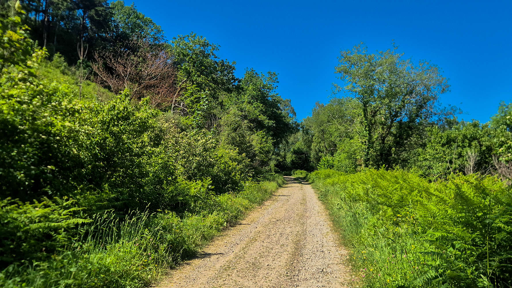 The FSR at the base of the hill.