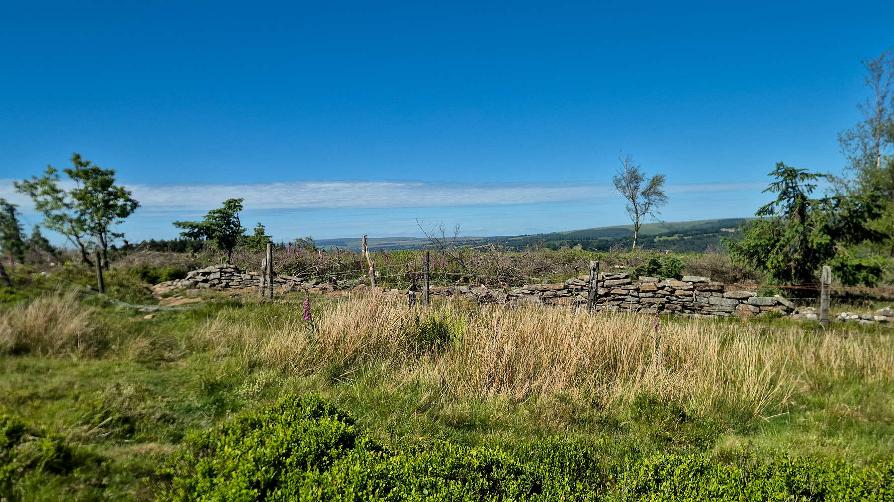 Drystone wall near the summit.