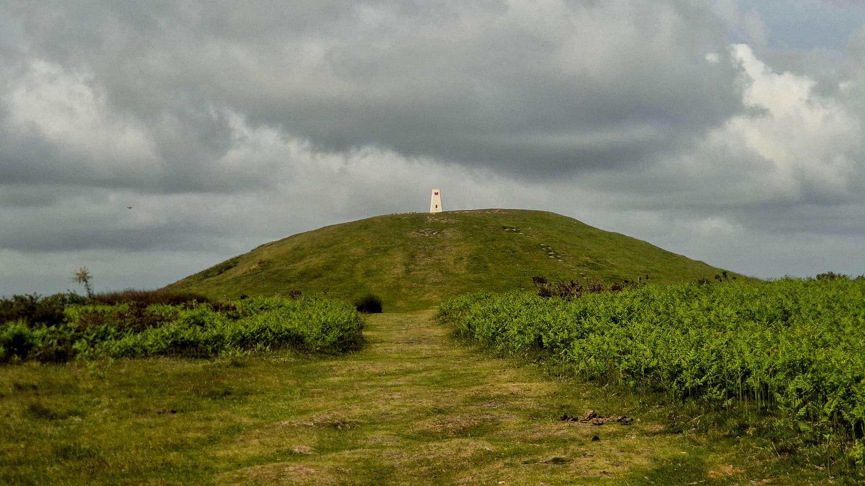 The summit Tumuli of The Garth (307m).