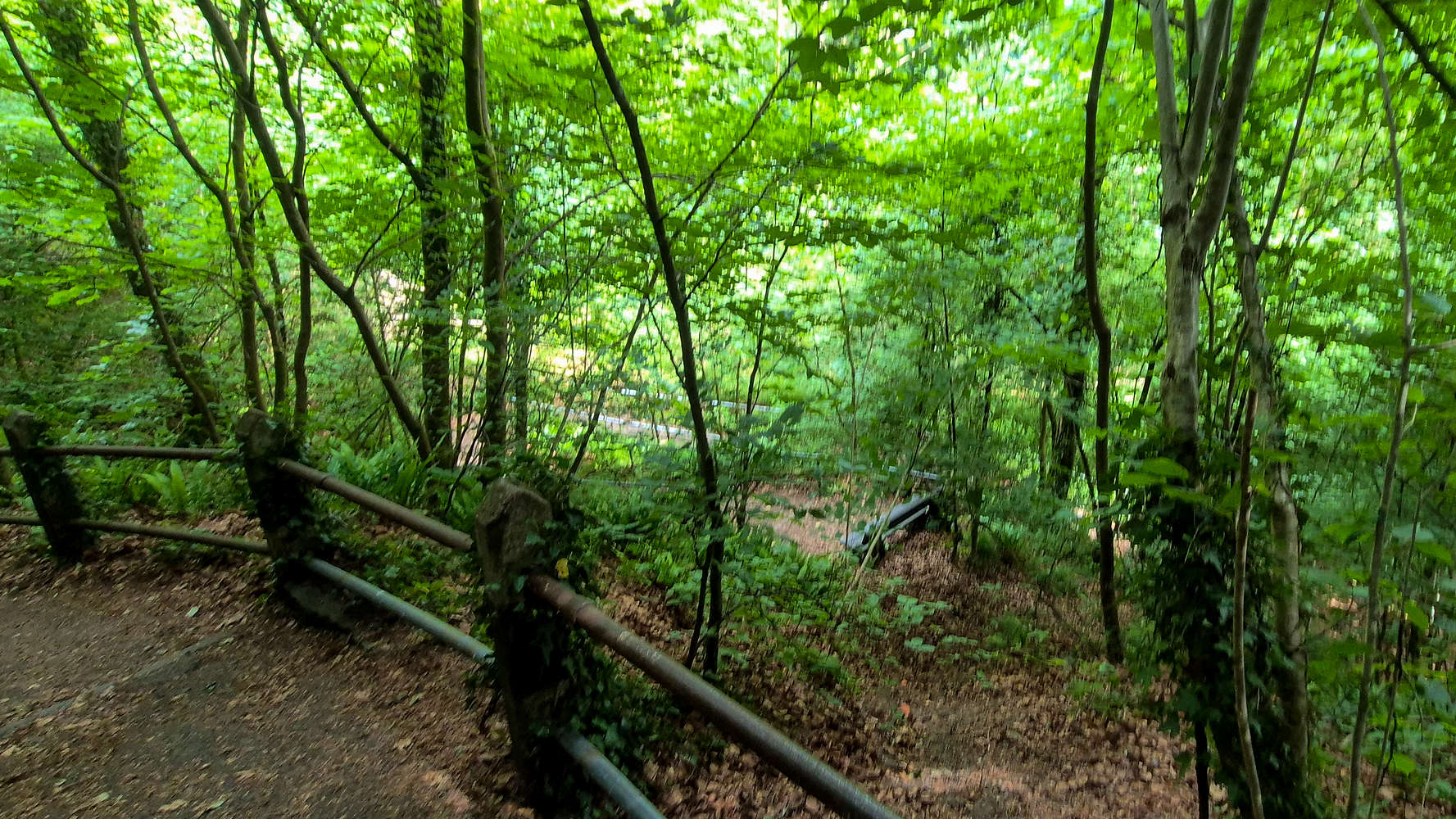 Descending towards the bridge.
