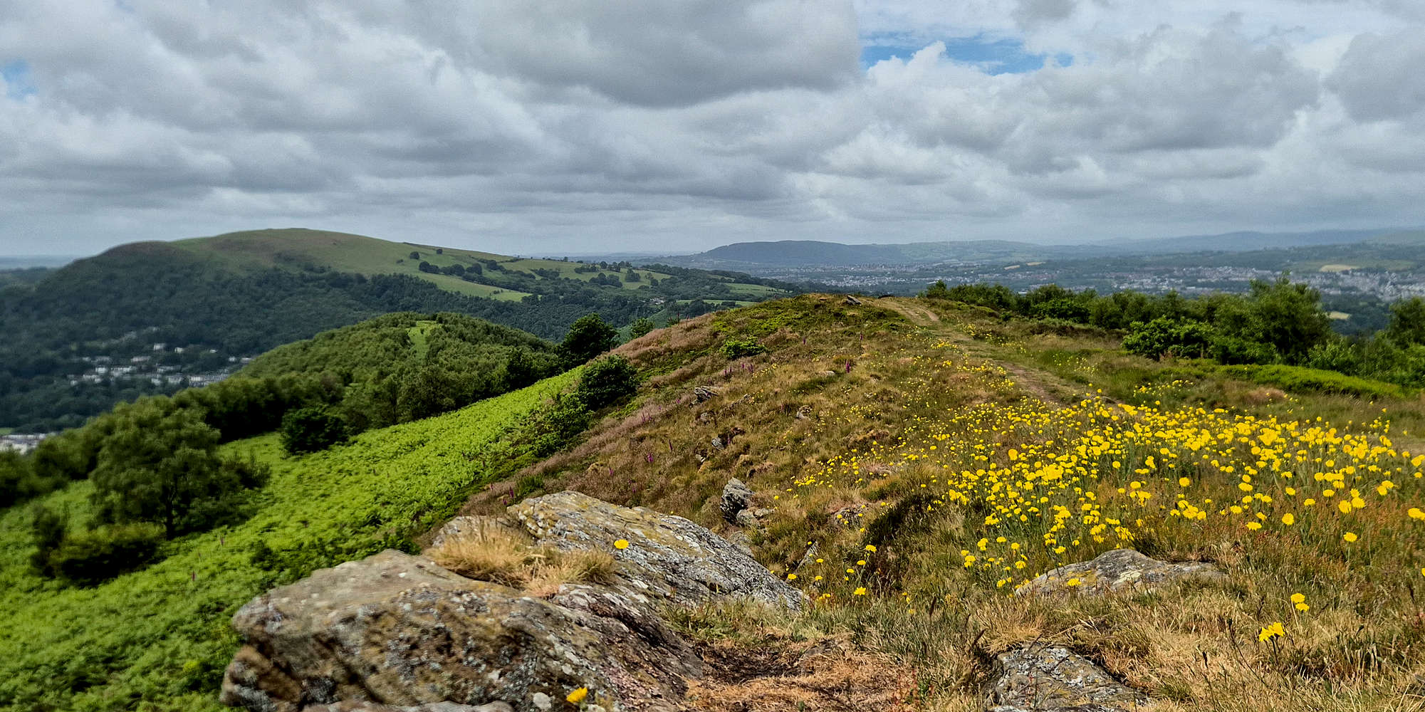View from the summit of Craig yr Allt (273m).