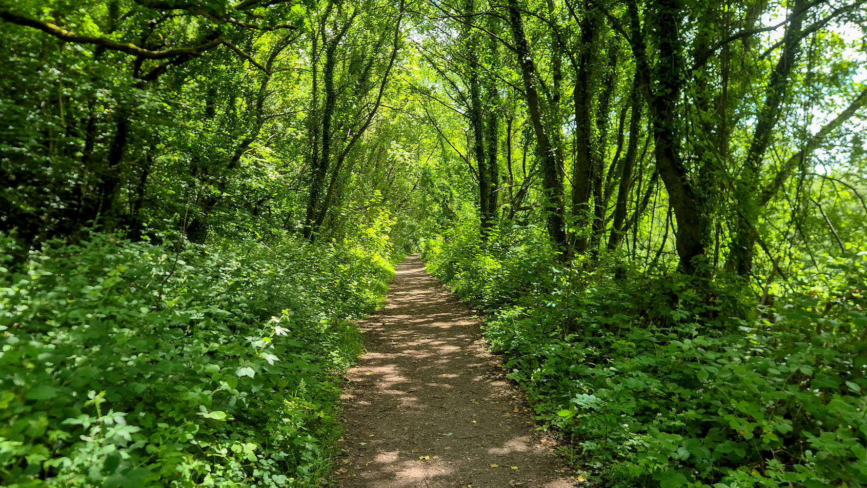 On the quaint paved road into Taff’s Well.