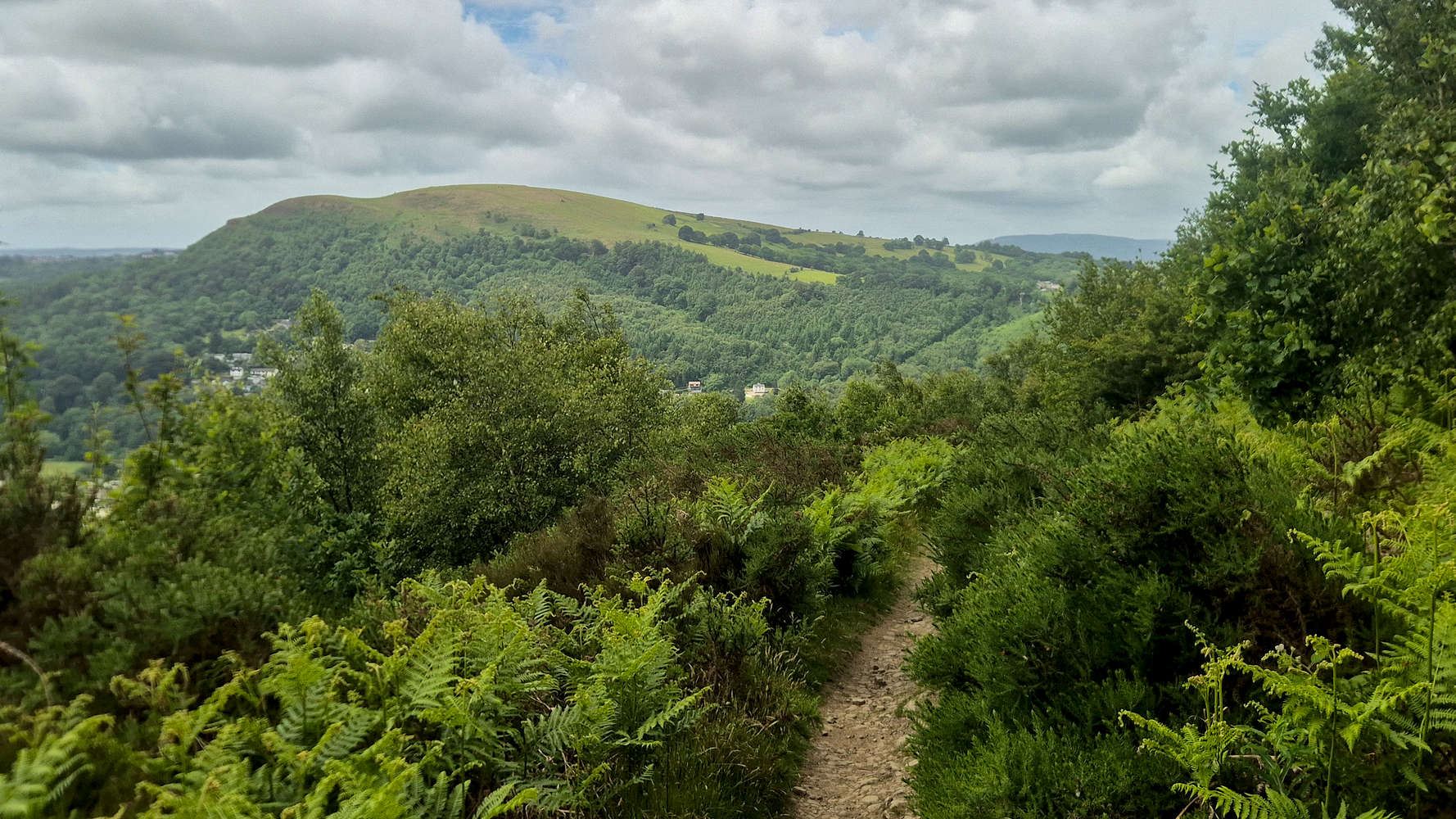 The Garth (307m) as seen from Craig yr Allt (273m).