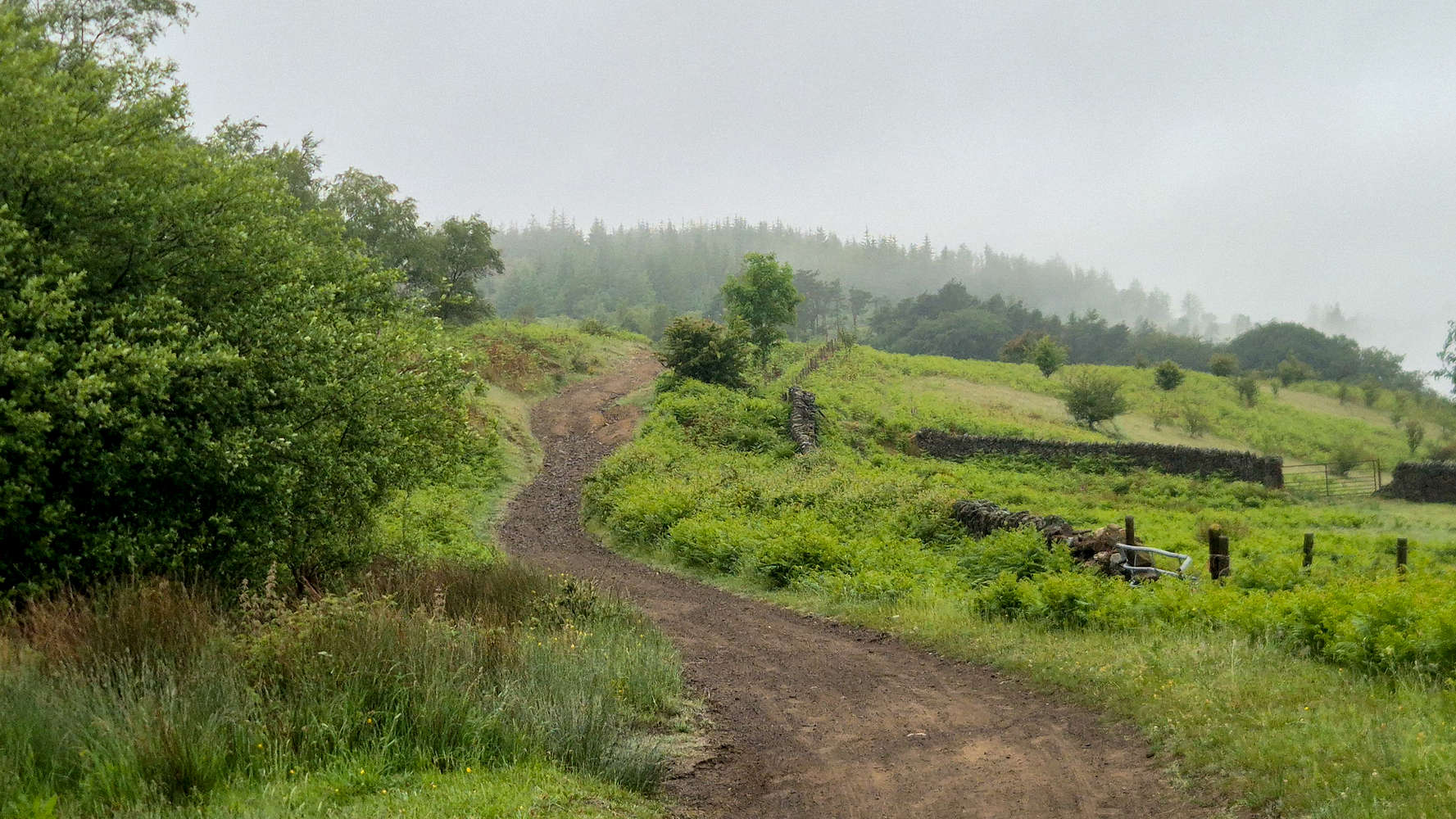 Ty-Canol Lane along the ridgeline.