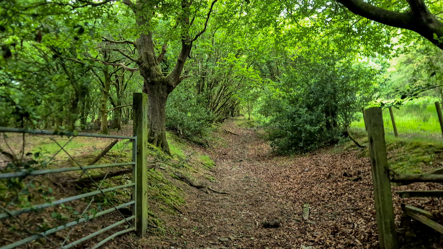 The gate for the ‘trail’ part of Ty-Canol Lane.