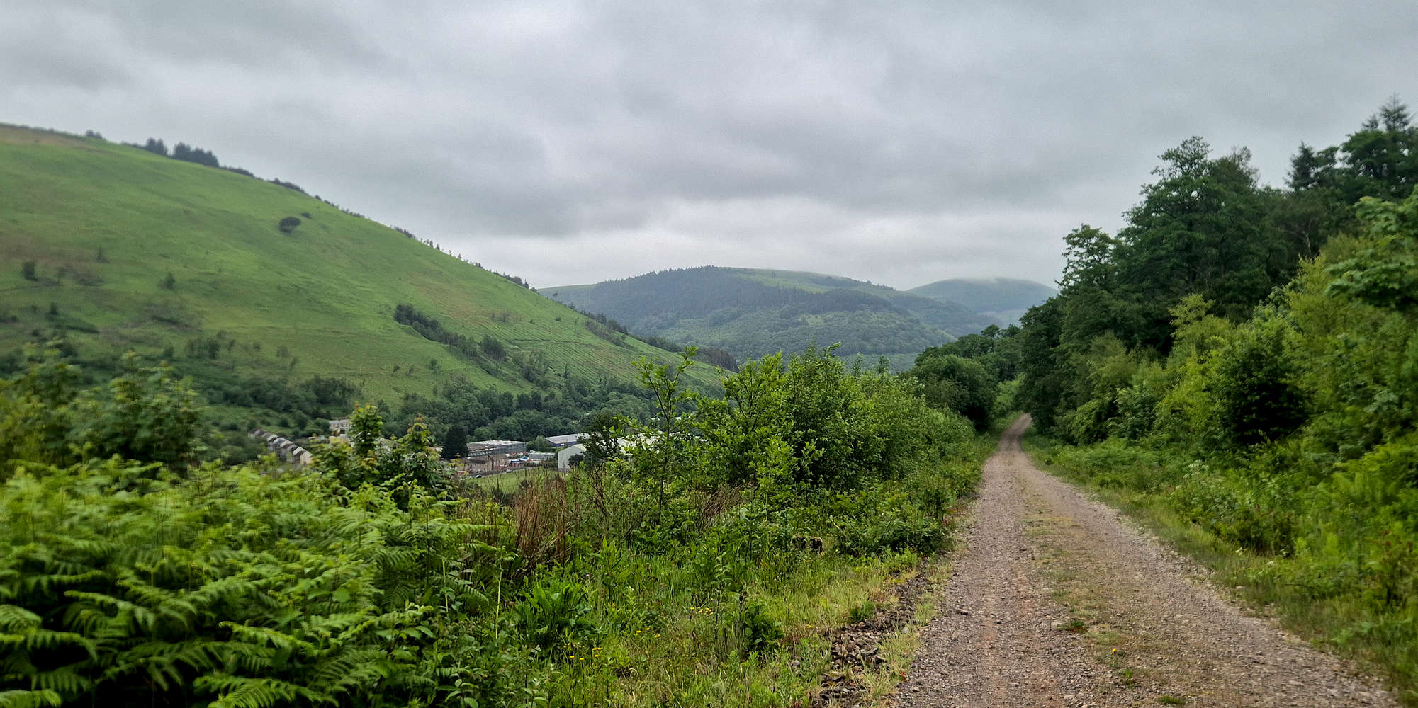 Mynydd y Lan (381m) and Twmbarlwm (419m) from Coed Rhyd-fraith.