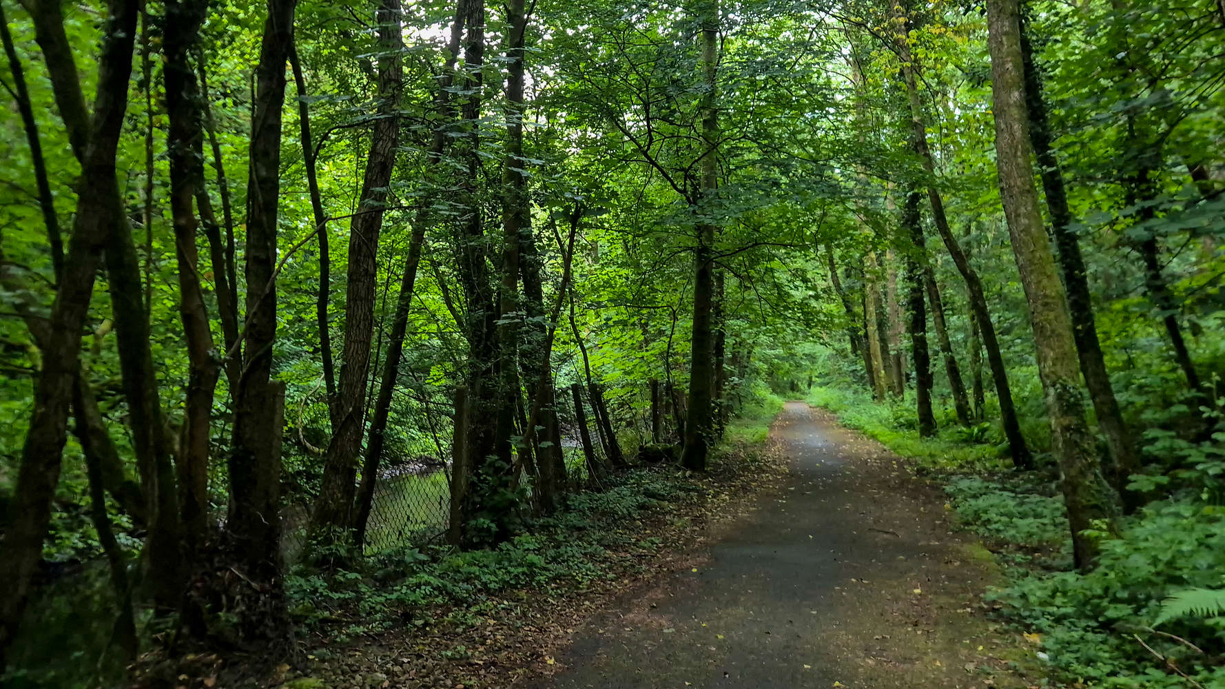 The Sirhowy Country Park walk.