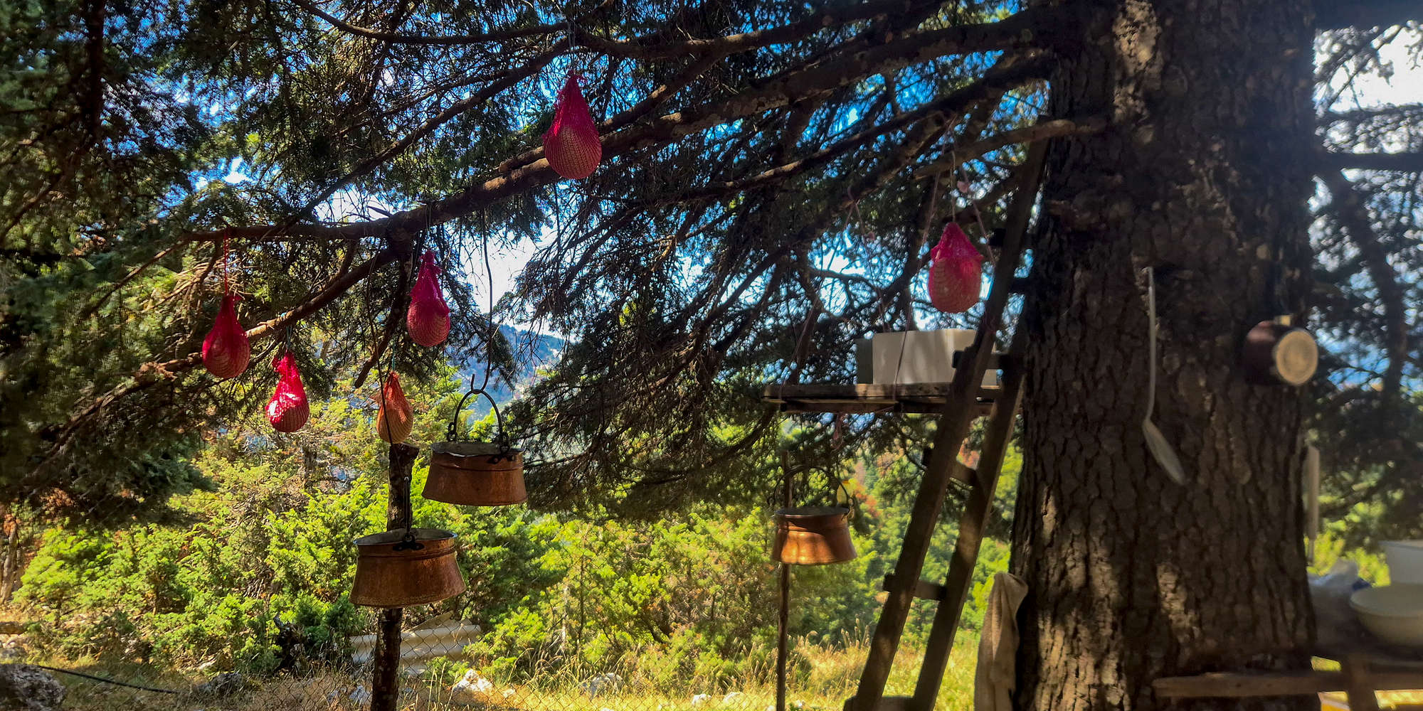Traditional cheesemaking of Mizithra and Feta at 1,350m.