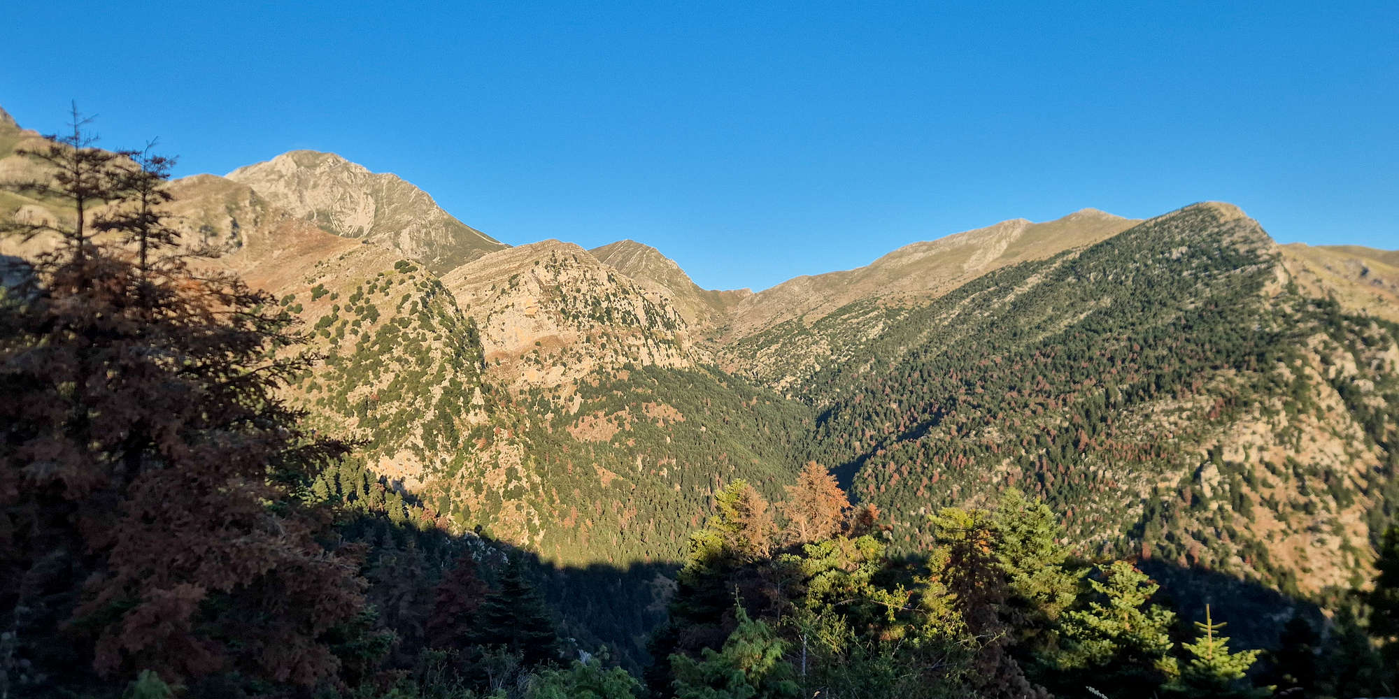 Olonos valley as seen from Roumeliotiko in the morning.