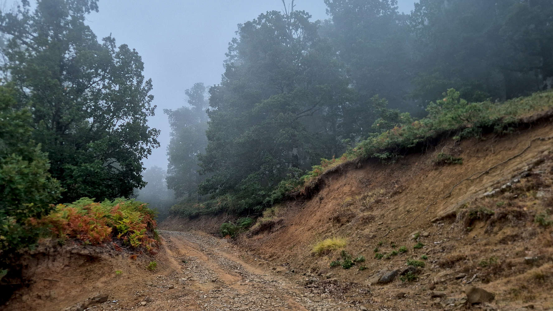 Autumnal feel at 800m a.sl. in mid-August.