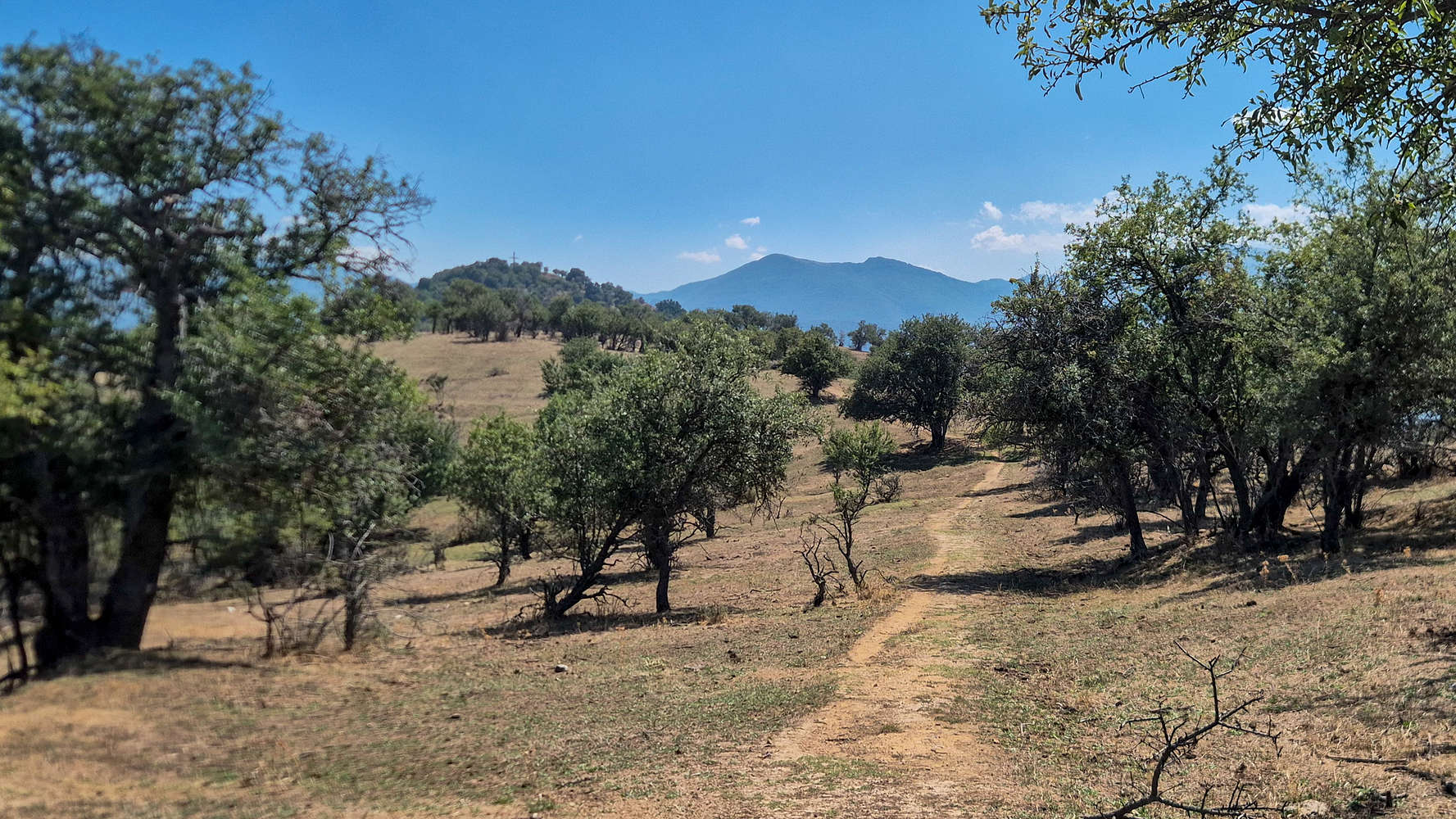 The ridgetop trail crossing the island.