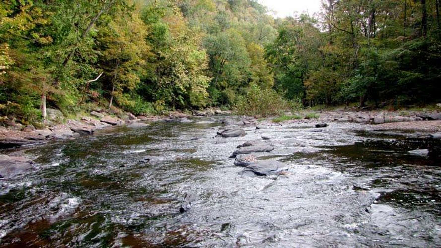 Ralp Stover State Park - PA , 