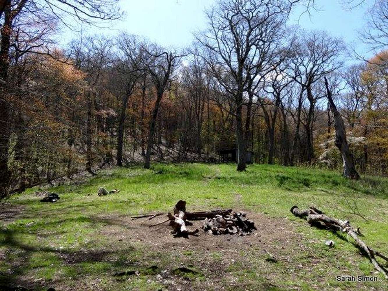 Siler hotsell bald shelter