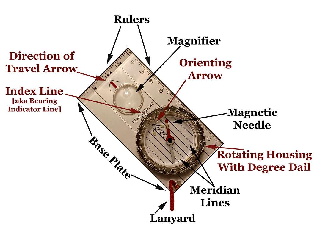 Figure 1 of Article  Compass Basics: An Introduction to Orientation and Navigation 