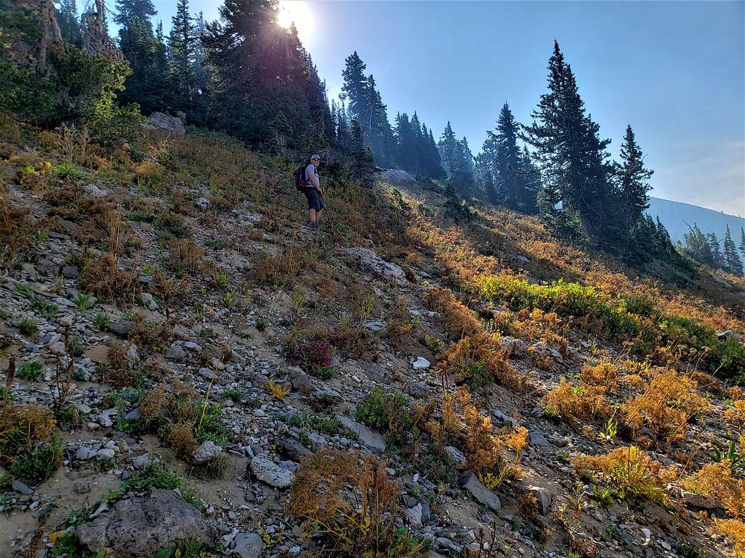 Bushwhacking up the north ridgeline of Mt. Meek : Photos, Diagrams ...