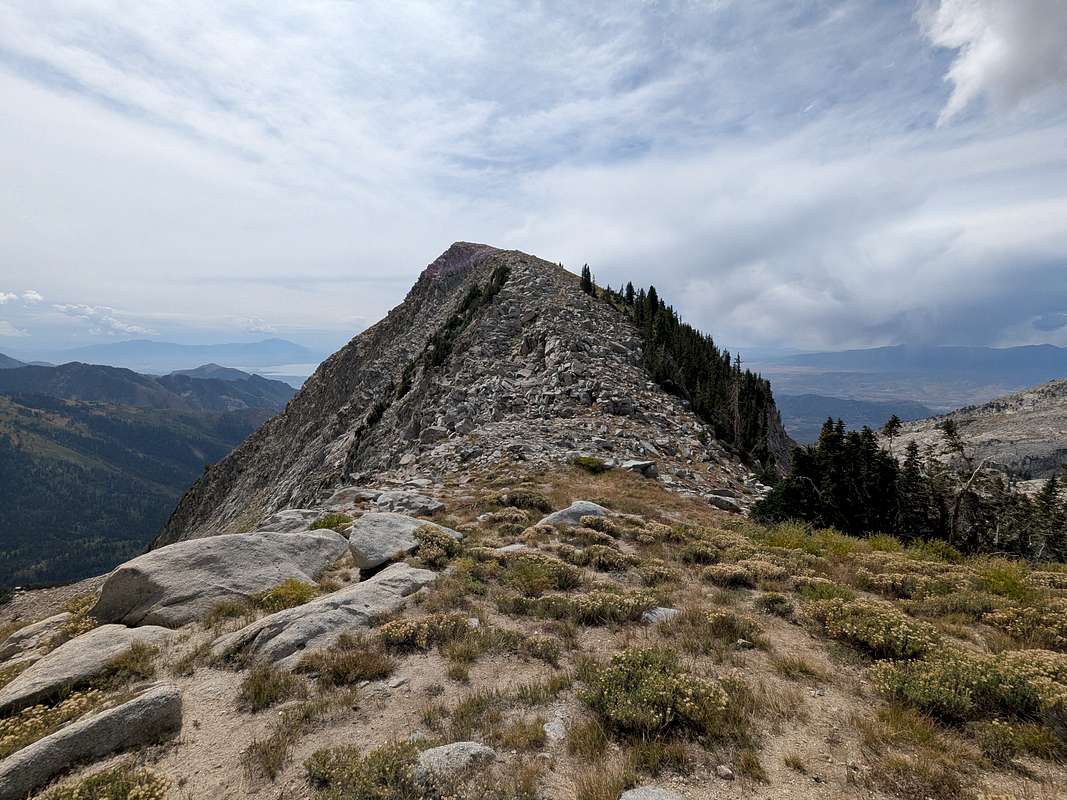 View of the Spur Ridge and Chipmans : Photos, Diagrams & Topos : SummitPost