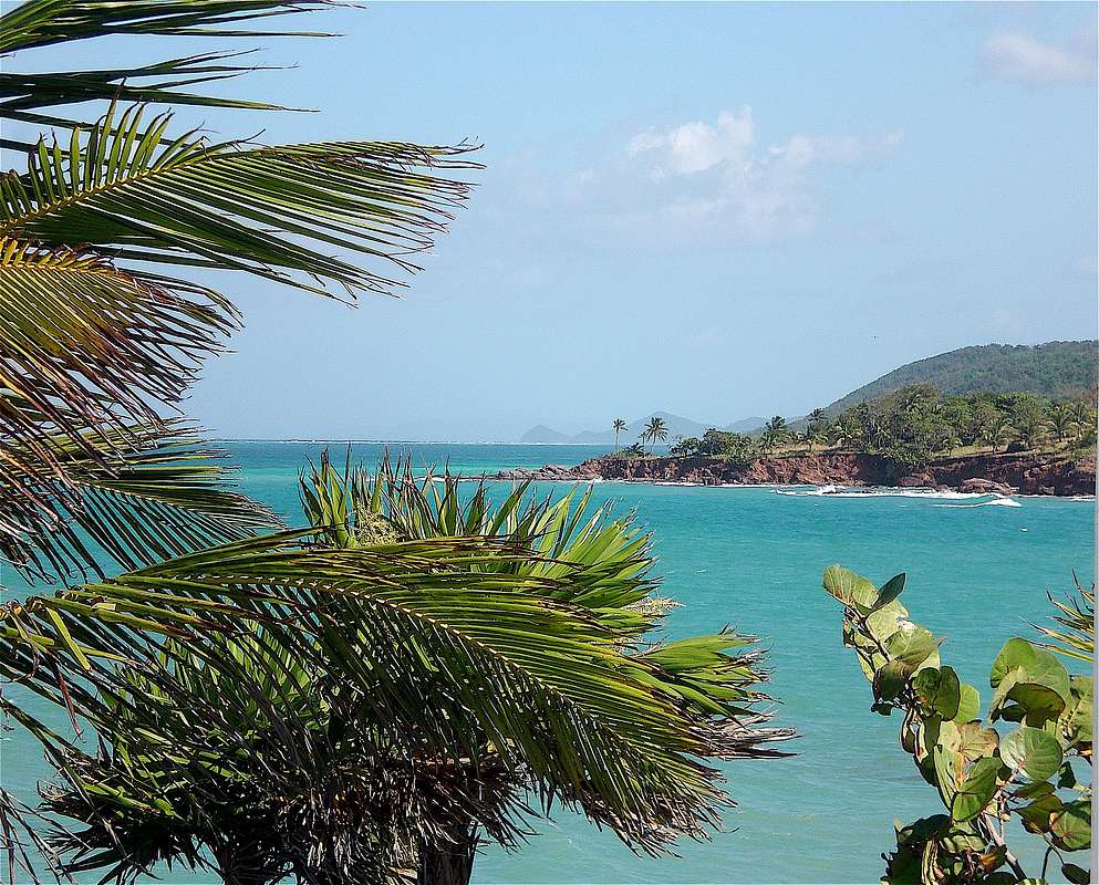 Paya Bay, Roatan Honduras : Photos, Diagrams & Topos : SummitPost