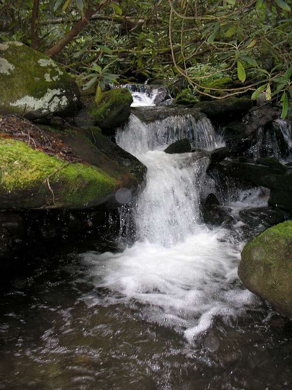 Porters Creek Trail Photos, Diagrams & Topos SummitPost