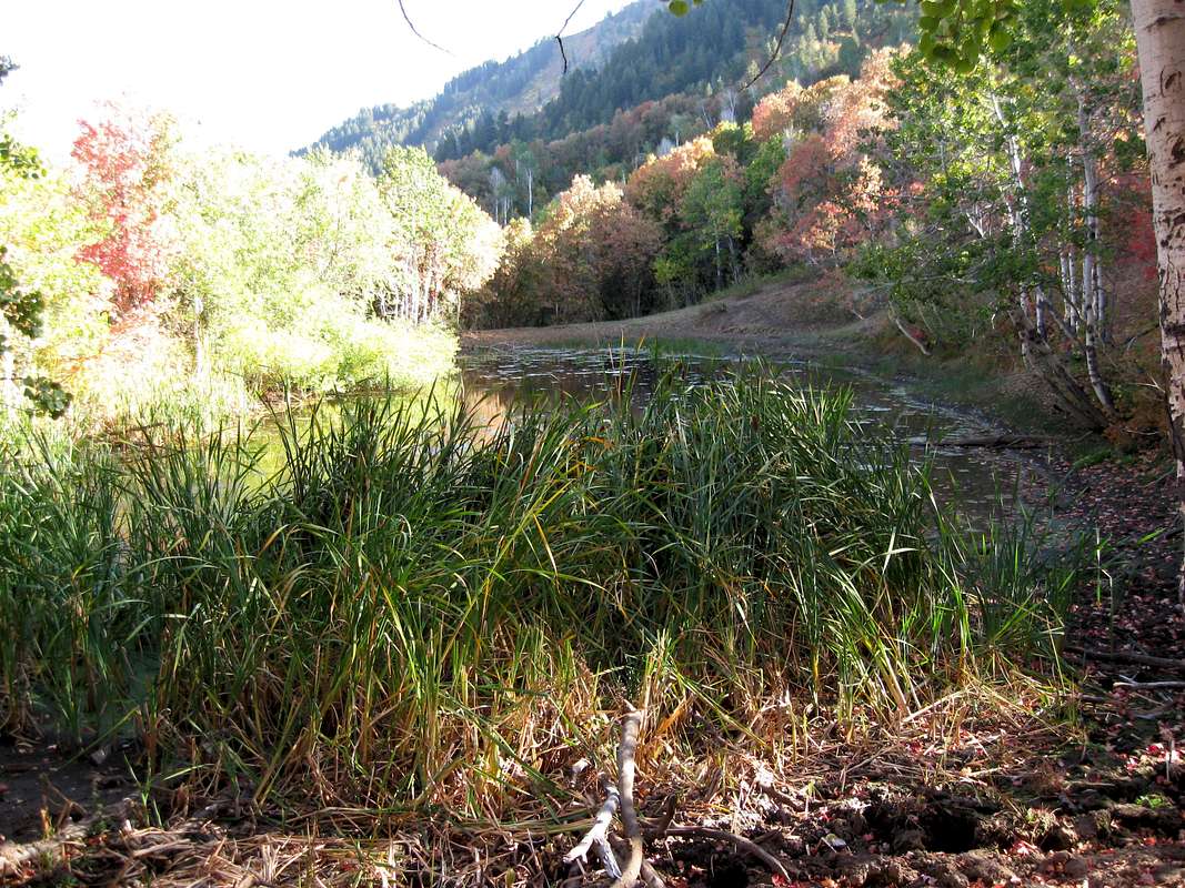 Cold Water Lake Wellsville Mountains Utah Photos, Diagrams
