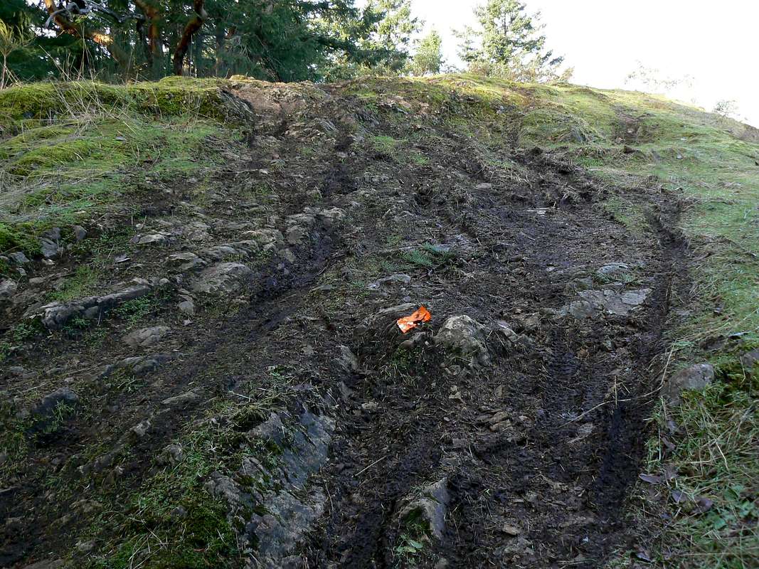 Mountain Bike Damage in the Partridge Hills Photos, Diagrams & Topos