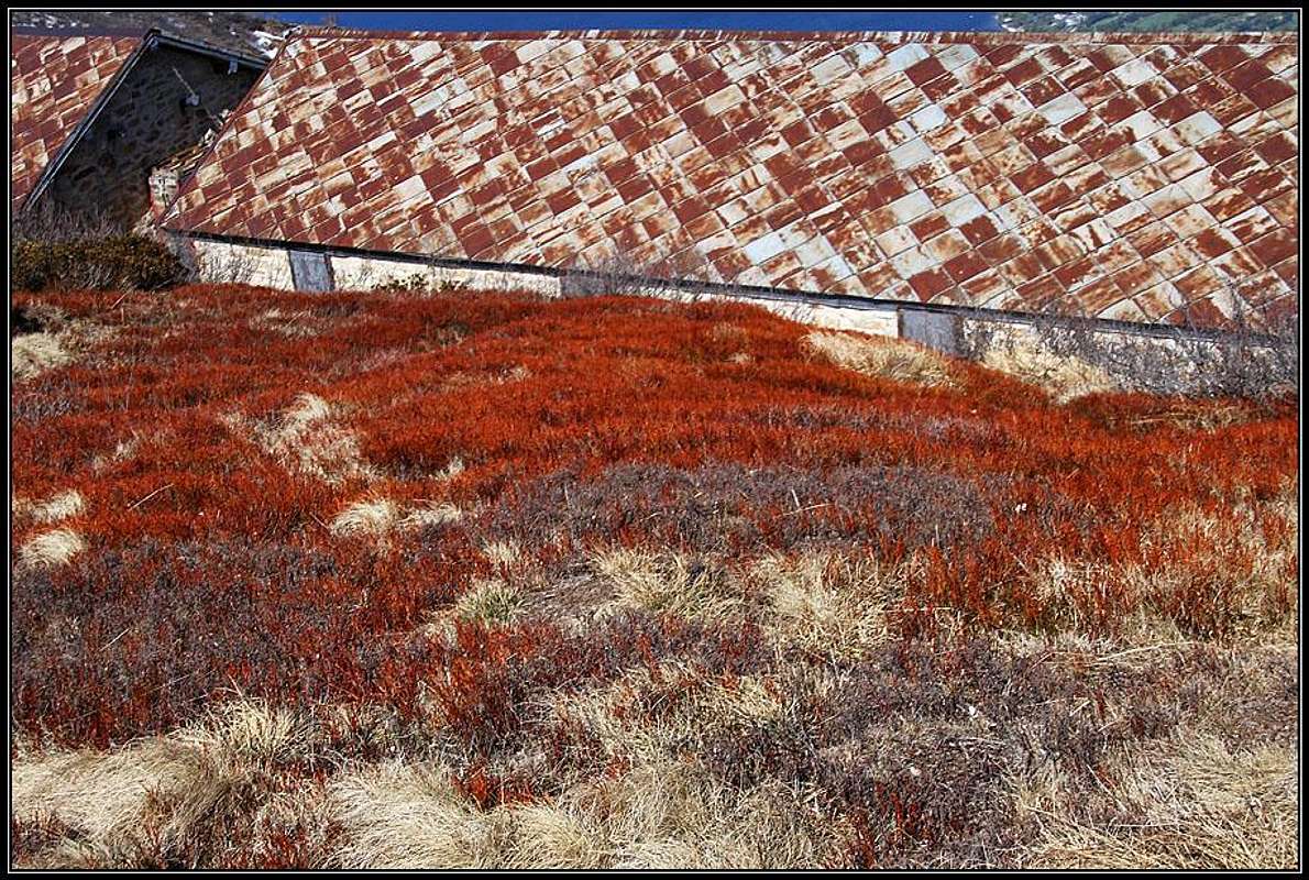 Red patterns : Photos, Diagrams & Topos : SummitPost