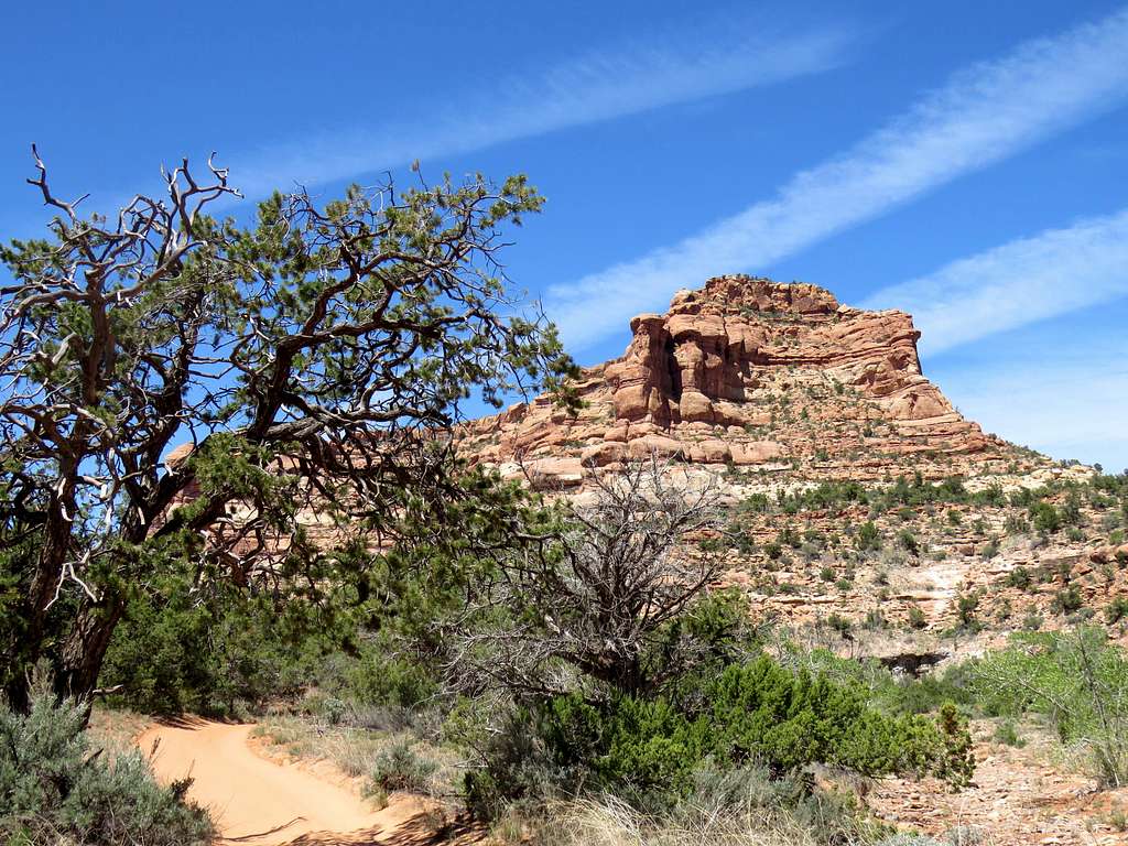 Junction of Hotel Rock Canyon