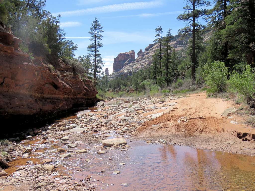 Near the junction with Texas Canyon