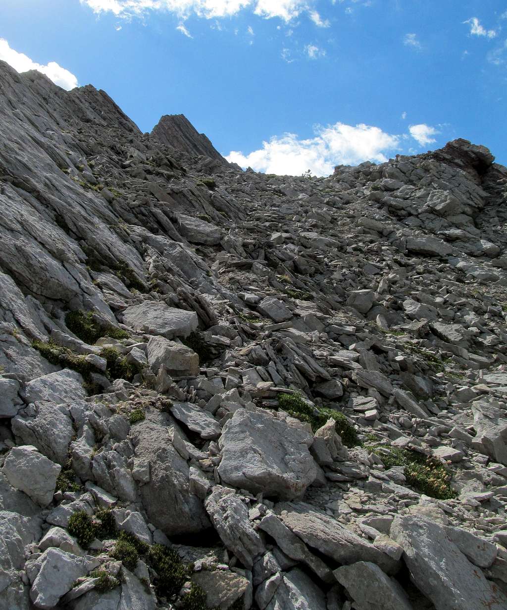 looser terrain on right side of ridge