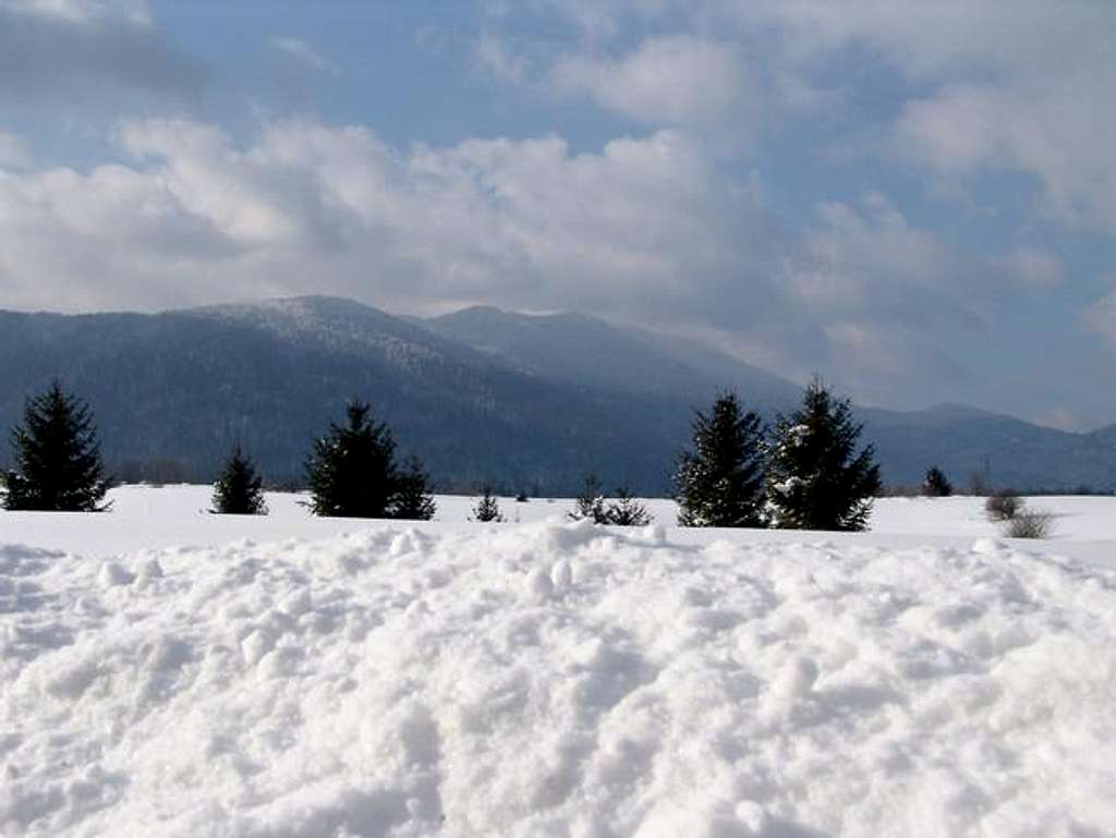 Winter in Jasenacko field...