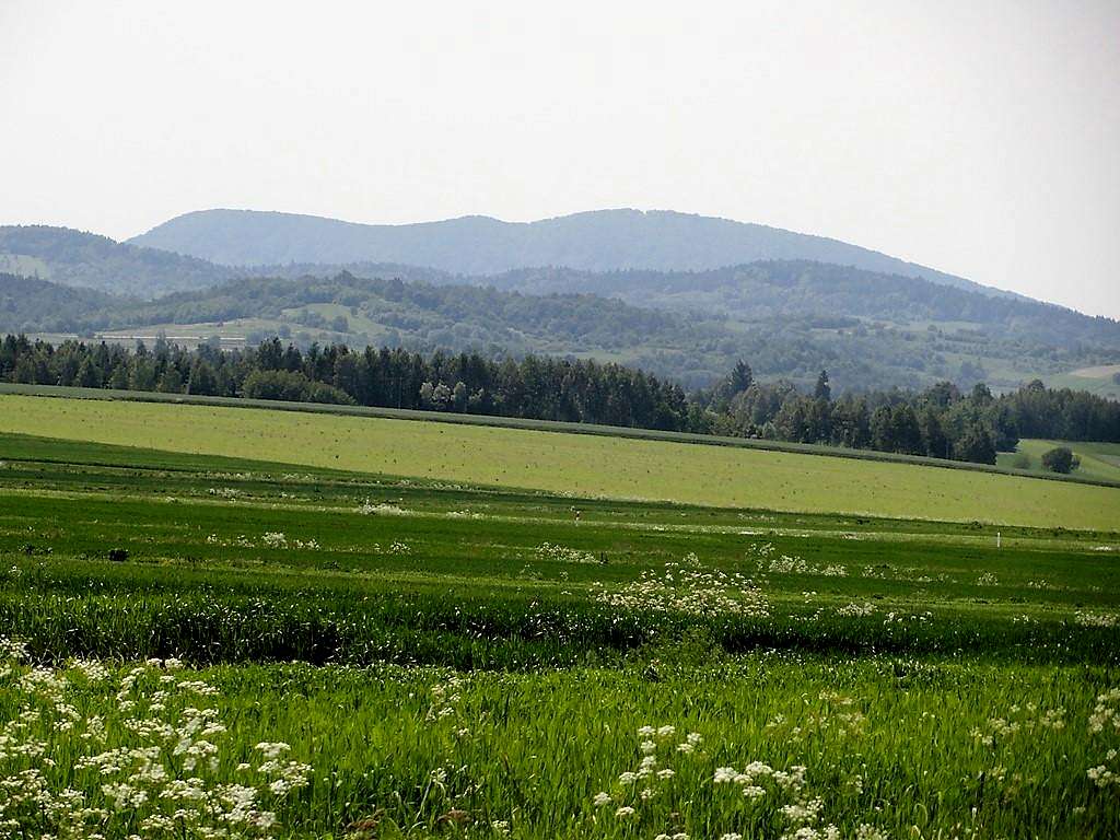 Mount Cergowa ( 716 m )