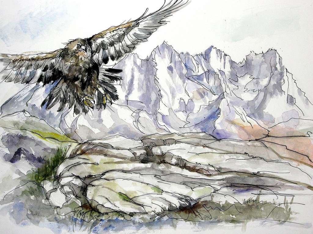Eagle on the dolomites