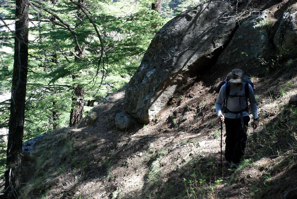 Amit - hiking to Naala Camp