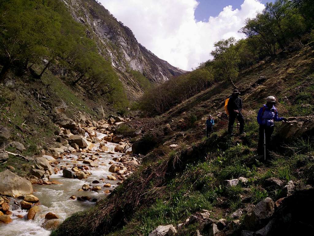 Nice green trail