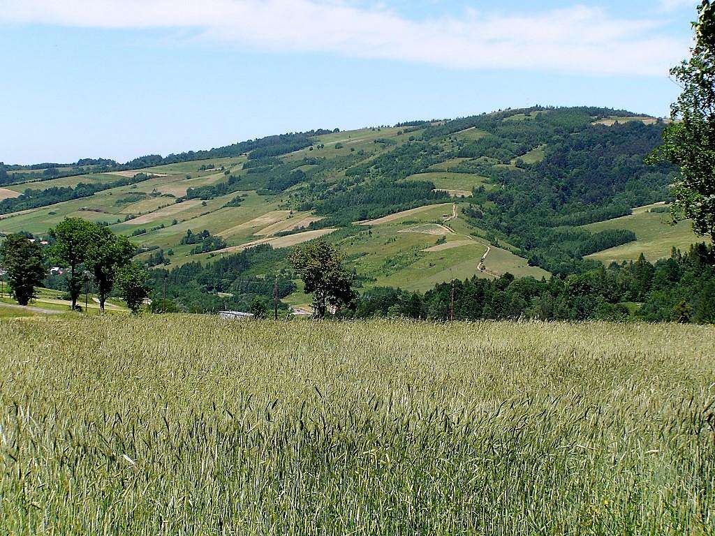 Mount Grzywacka