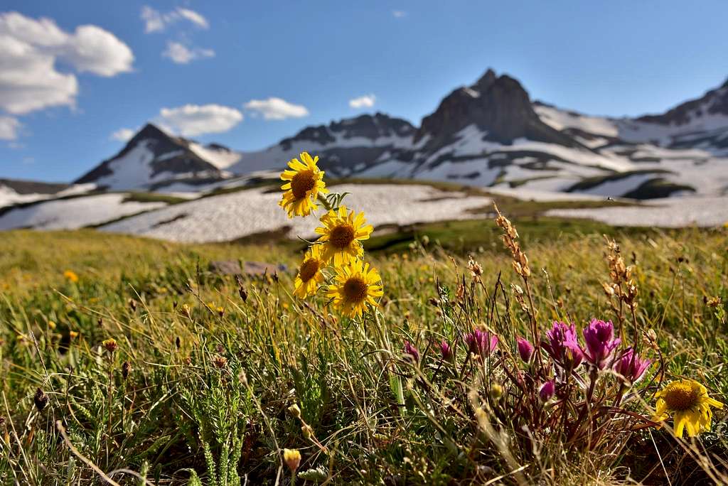 Summer in Ice Lakes Basin