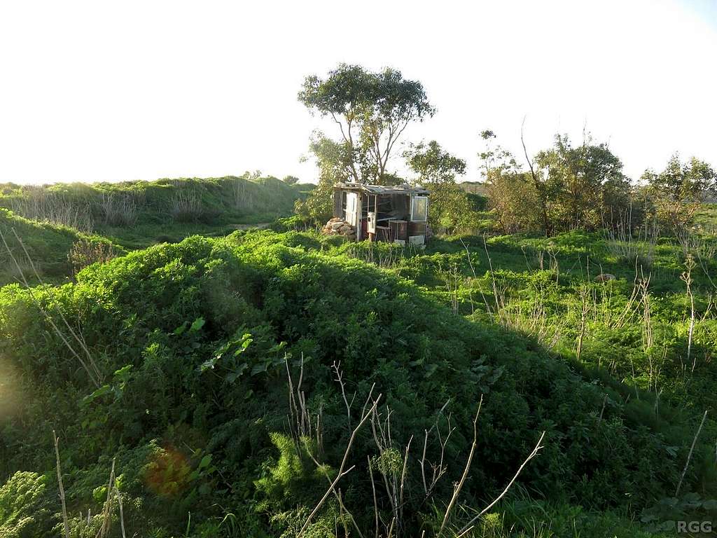 Old shack on Ta'Dmejrek