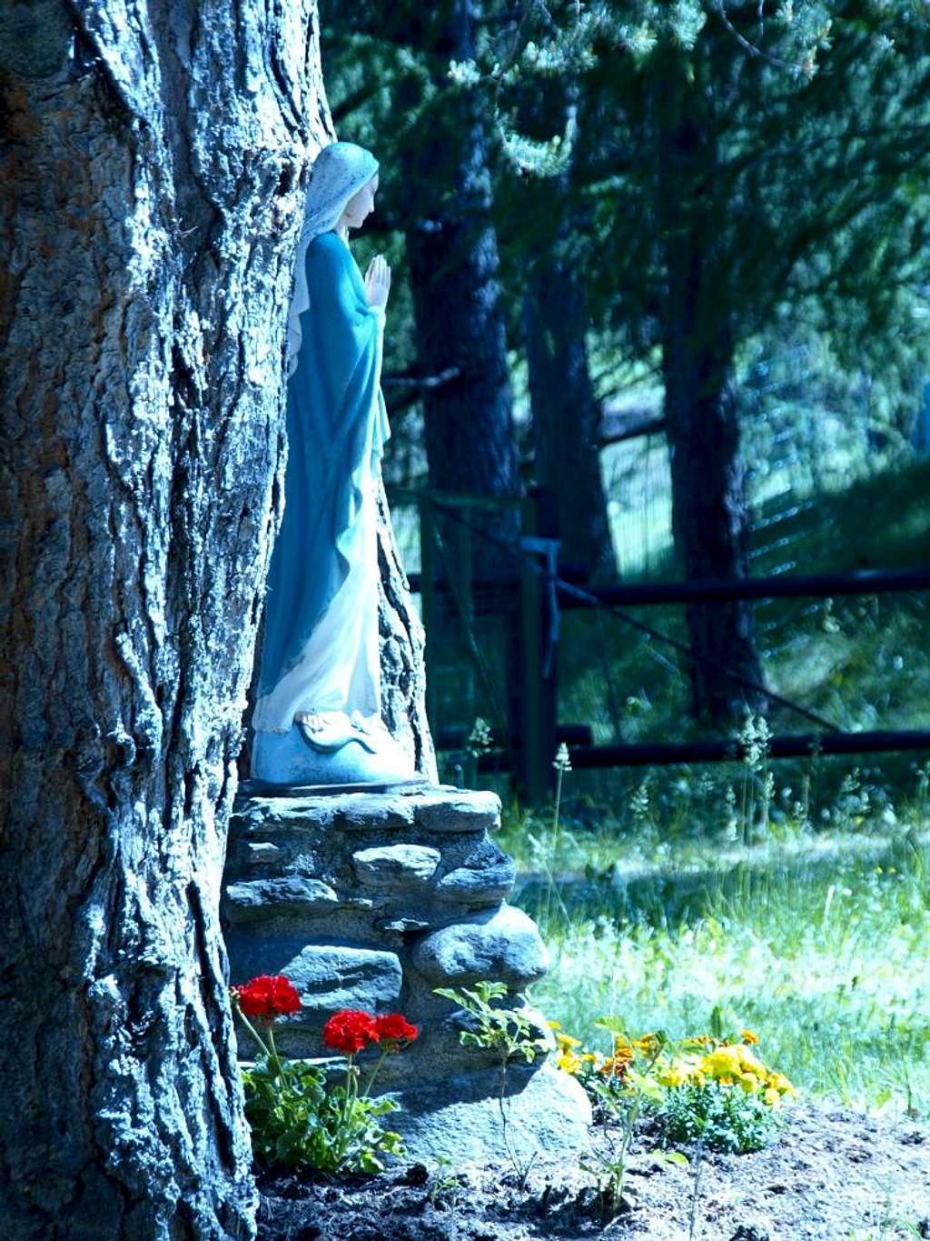 World is blue ... Les Combes's Home Virgin Mary 2017