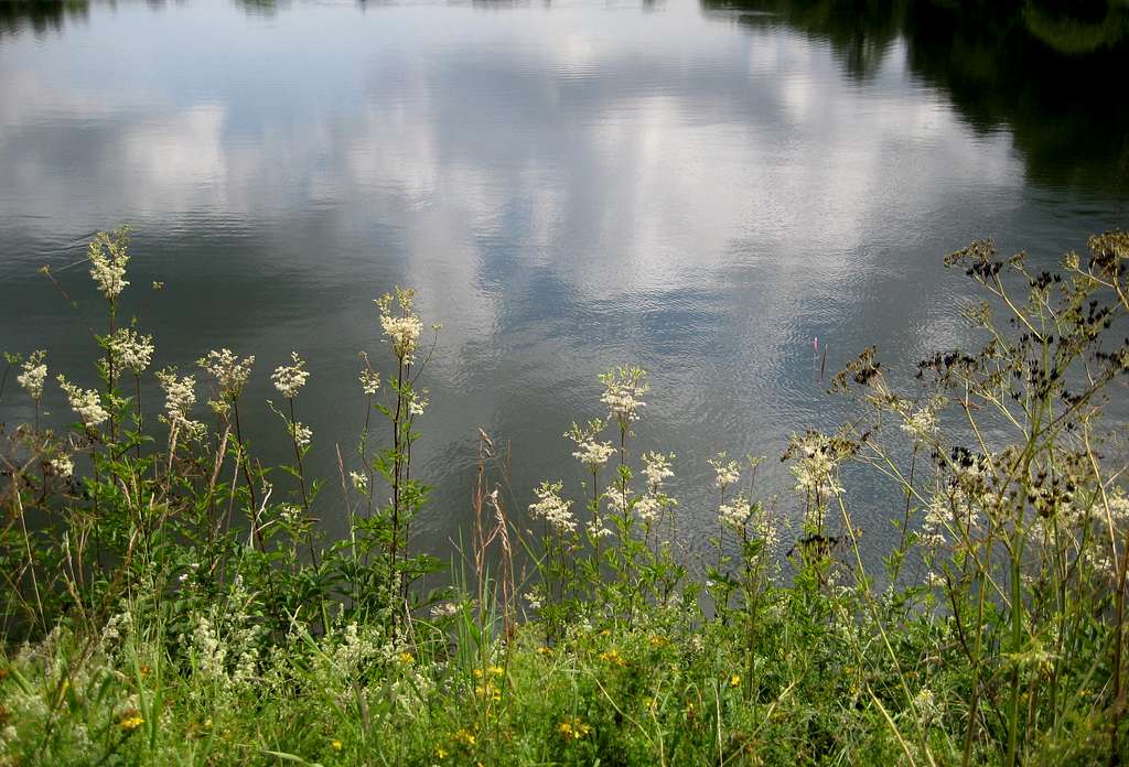 Großer Kranicher Teich in Goslar-Hahnenklee